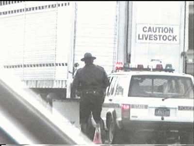 PA State Police Mounted Unit assist the MCSAP unit.