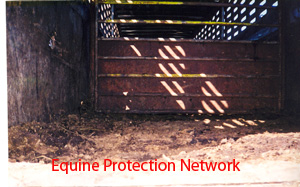 View inside a trailer at a low end sale used to transport horses