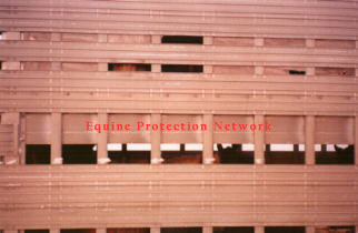  Horses on both levels inside a double deck cattle trailer