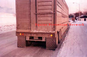 Rear view of double deck cattle trailer with horses on at Schroon Lake, NY rest area