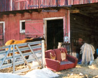 Now a couch is used in place of the broken kitchen countertop to keep Anastasia in her manure filled pen with no water and no food.